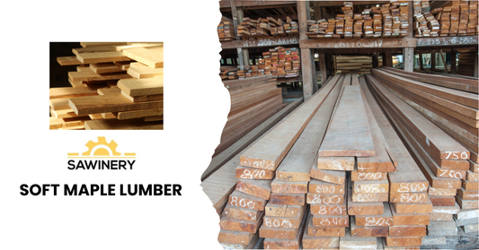 Soft Maple Lumber