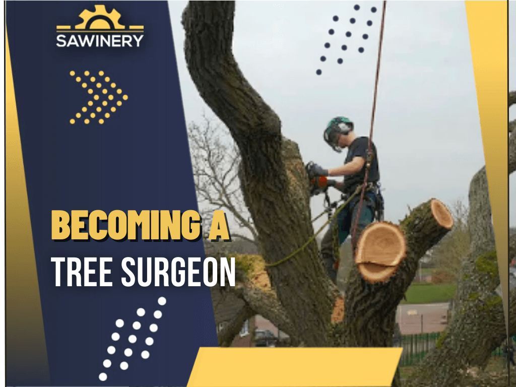 becoming-a-tree-surgeon
