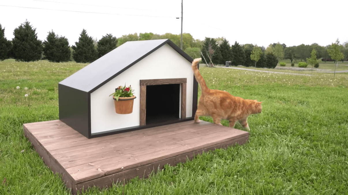 Plywood Pet House