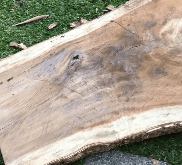 Acacia wood slab