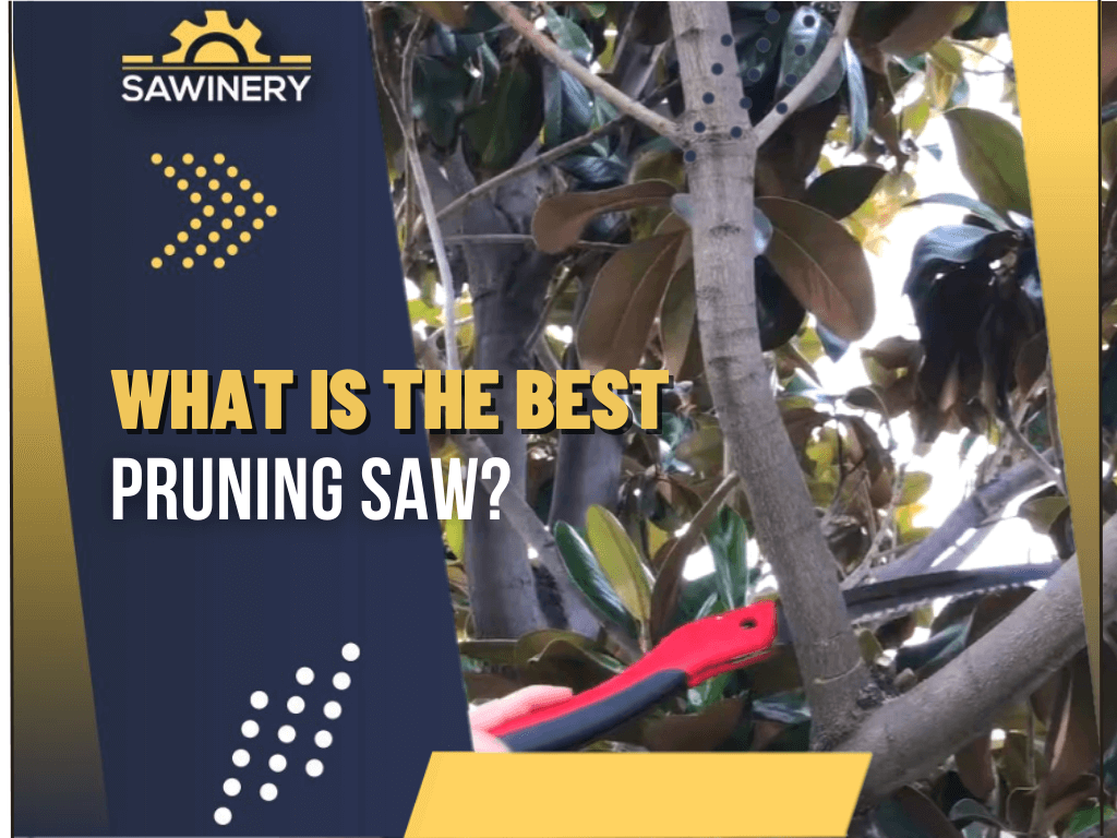 what-is-the-best-pruning-saw