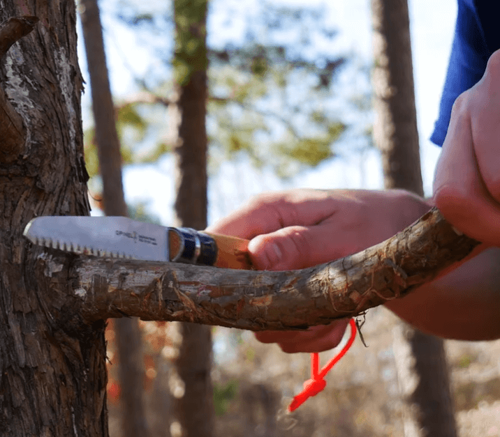 cutting tree branch with Opinel Folding Saw No. 12