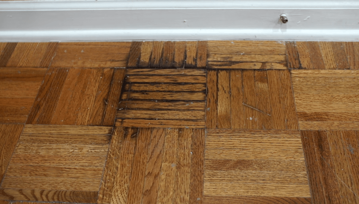 hardwood floor with urine stain