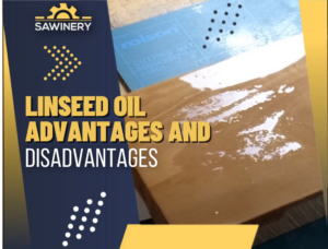 linseed oil advantages and disadvantages Featured Image