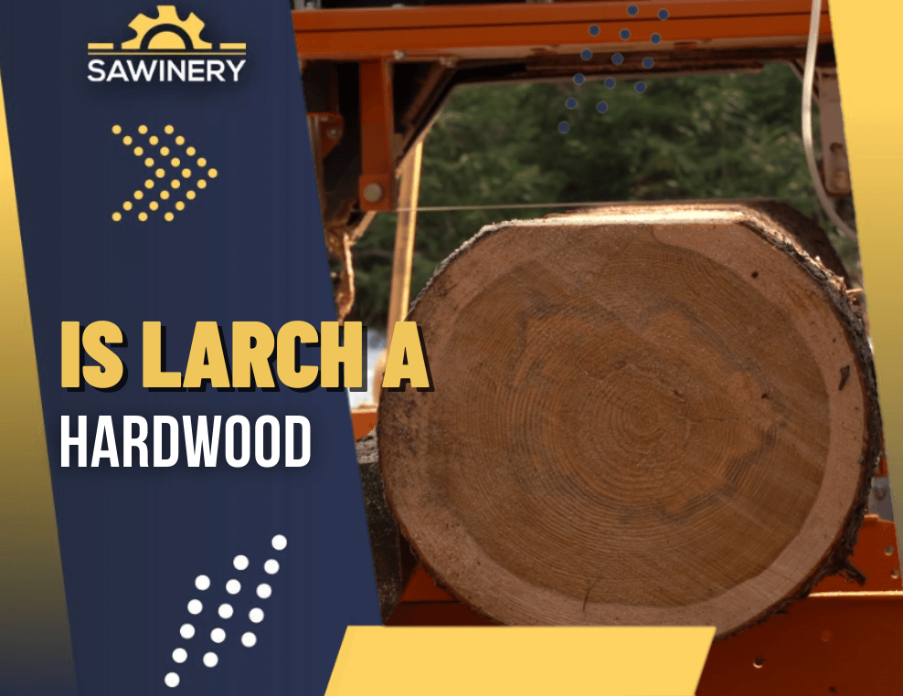 is larch a hardwood Featured Image