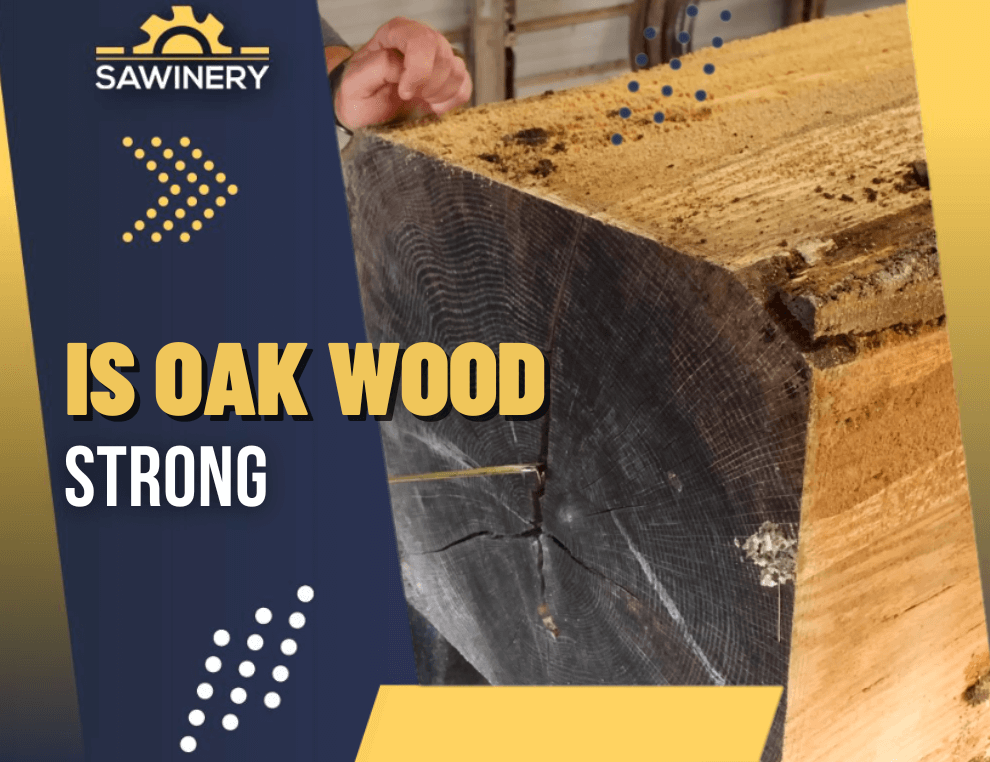 is oak wood strong Featured Image