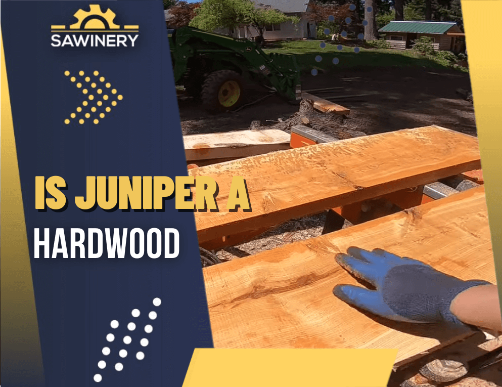 is juniper a hardwood featured image