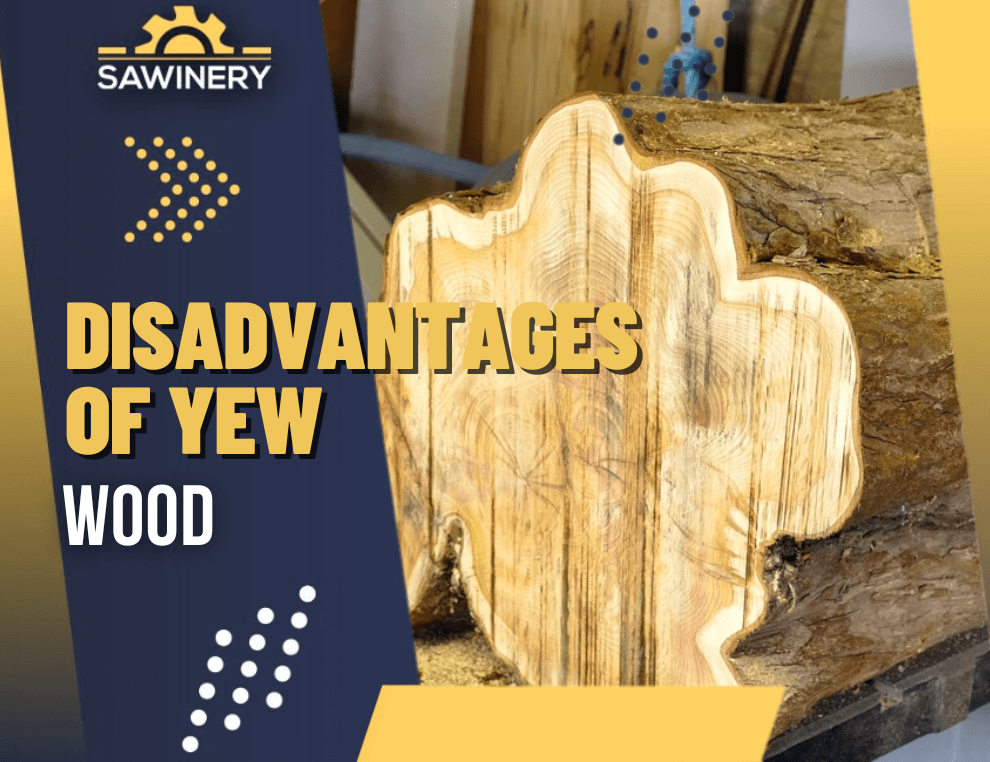 disadvantages of yew wood Featured Image