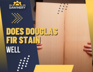 does douglas fir stain well Featured Image