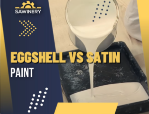 eggshell vs satin paint Featured Image