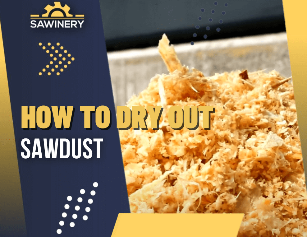 how to dry out sawdust Featured Image