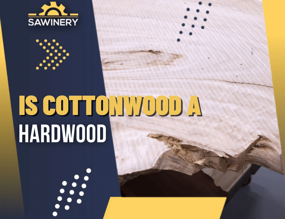 is cottonwood a hardwood Featured Image