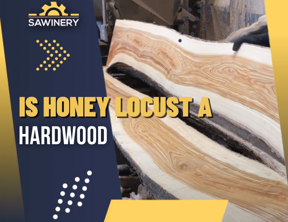 is honey locust a hardwood Featured Image