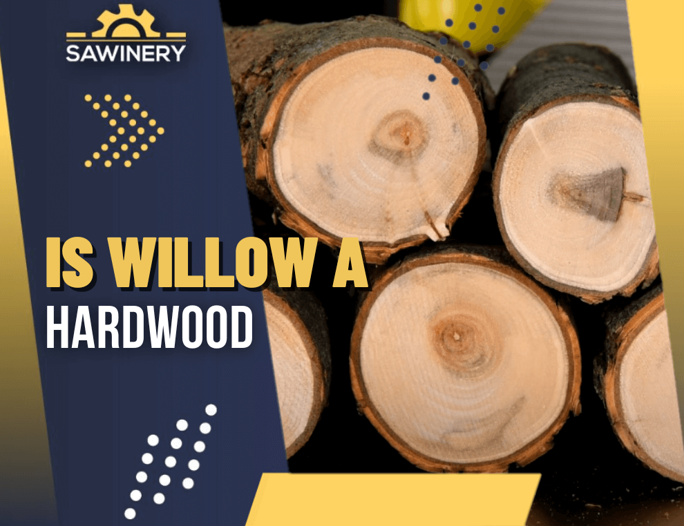 is willow a hardwood Featured Image