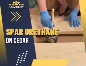 spar urethane on cedar Featured Image