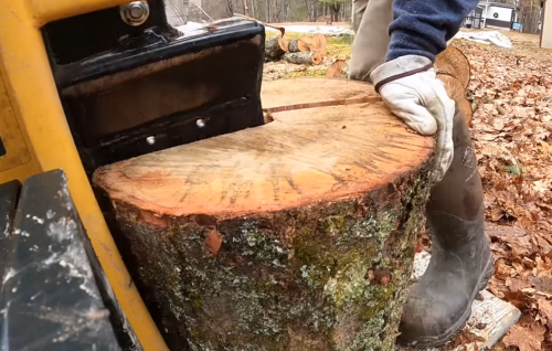 Hardness of maple wood