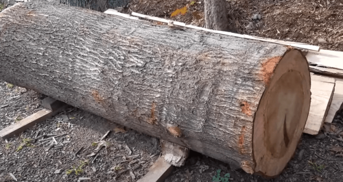 hickory wood logs