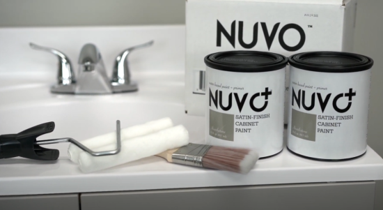 Nuvo paint