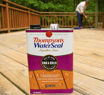 Thompson’s WaterSeal Semi-Transparent Waterproofing Wood Stain