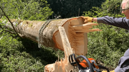 alder wood log