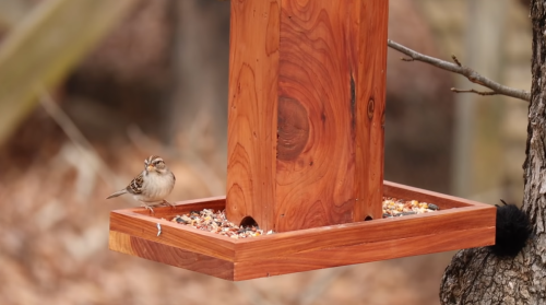 bird feeder made from Cedar wood