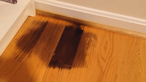 How To Remove Black Urine Stains From Hardwood Floors 2024