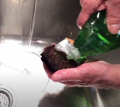 cleaning brush with soap and water