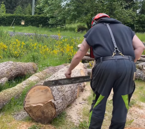 cutting a log on the ground