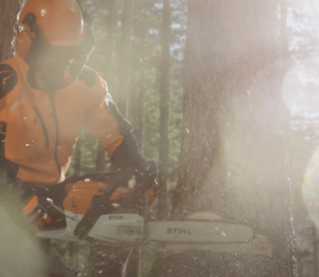 cutting down a tree with Stihl 261