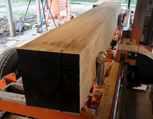 cutting huge oak wood