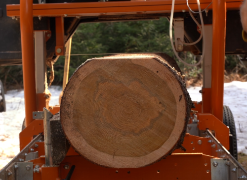 cutting larch wood