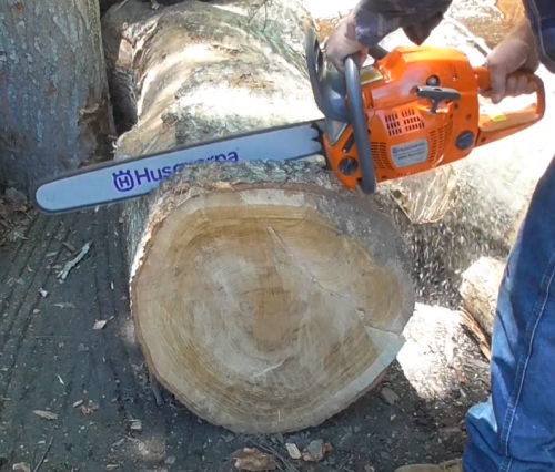 cutting log with Husqvarna 460 Rancher Chainsaw