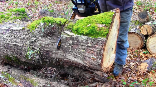cutting log with Poulan Pro PR4218
