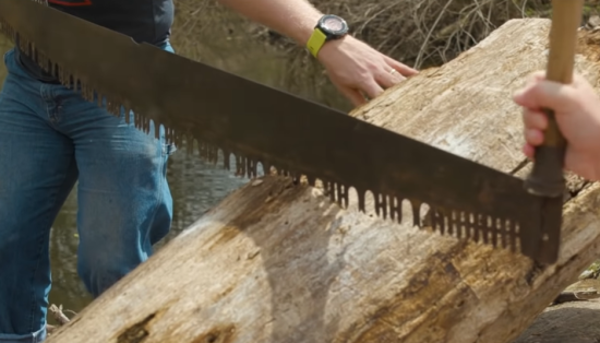 cutting log with antique crosscut saw