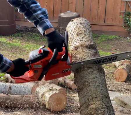 cutting lumber with Echo chainsaw