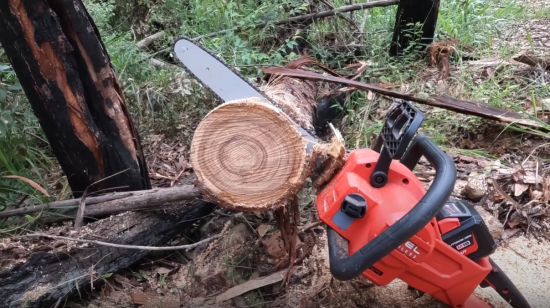 cutting tree log with Milwaukee M18 Chainsaw