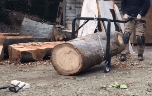 drawbacks of eucalyptus wood