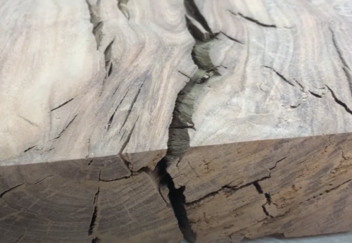 eucalyptus wood prone to cracking