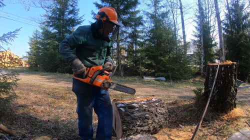 making firewood with Husqvarna 440