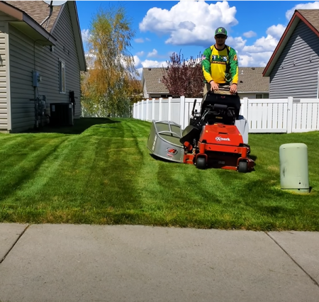 man mowing his front yard