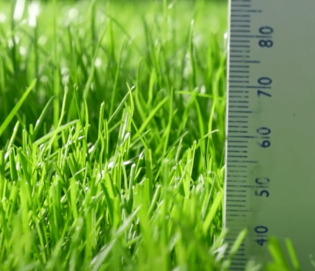 measuring grass height