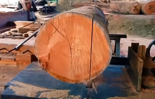 meranti wood prone to rotting
