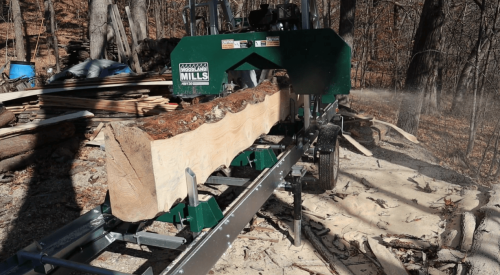 milling Spruce log