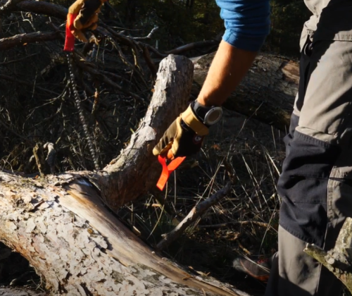person using Nordic Pocket Chainsaw