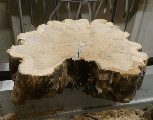 preparing yew wood