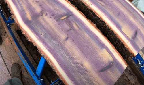 purple heart wood