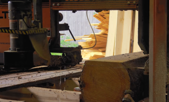 sawing Larch wood