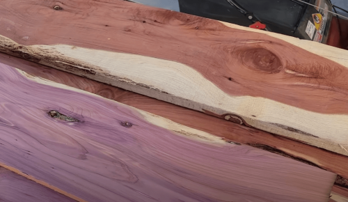 Cedar wood durability