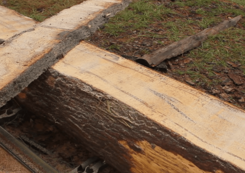 trimming sweet gum log wood