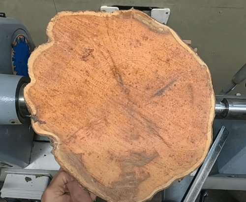 yew wood log
